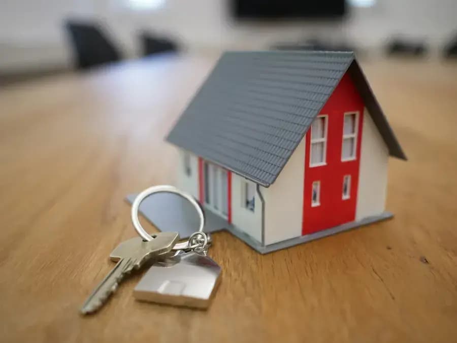 Chá de Casa Nova